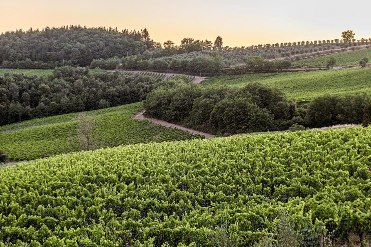 Agriturismo Casa Al Bosco Βίλα Castellina in Chianti Εξωτερικό φωτογραφία