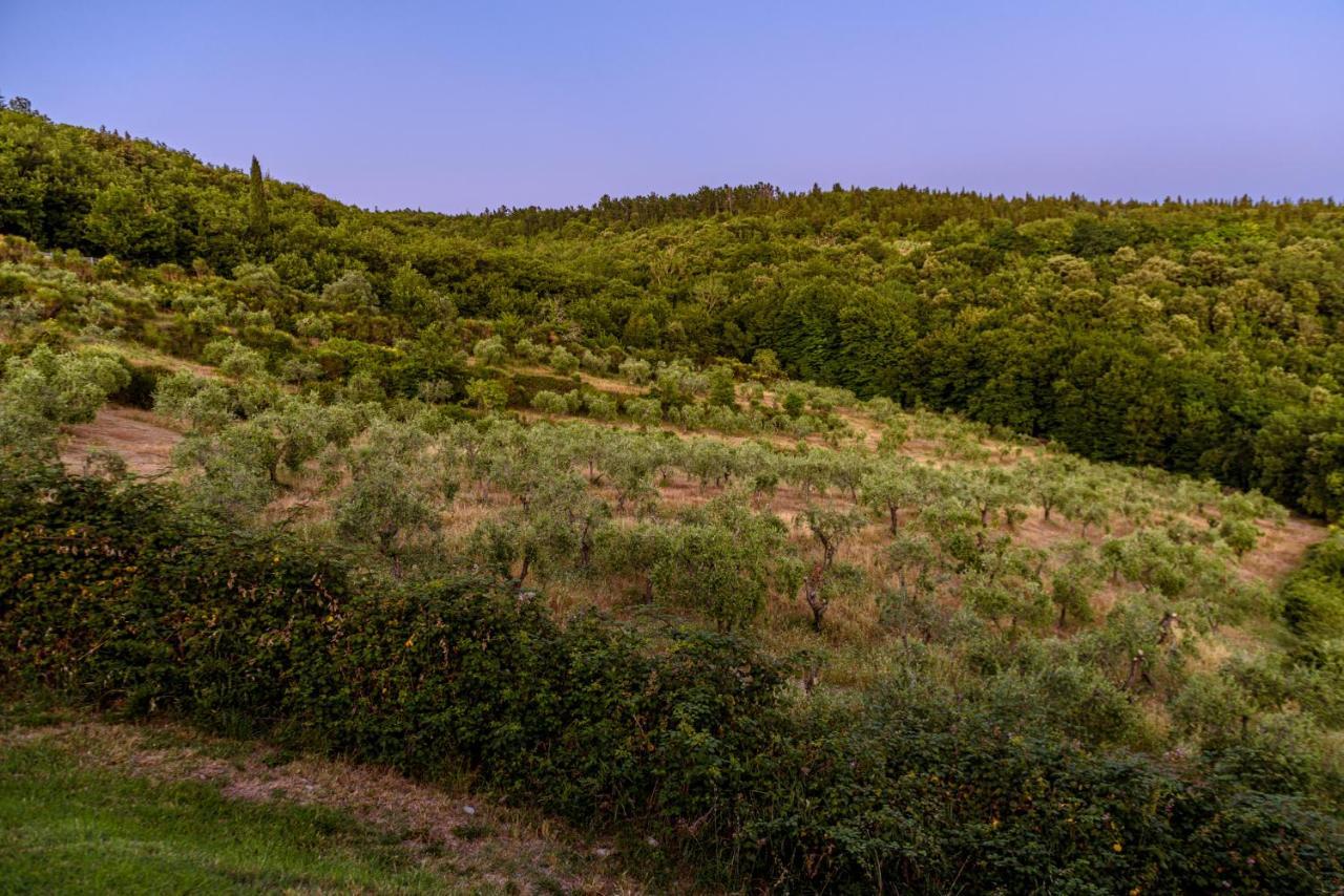 Agriturismo Casa Al Bosco Βίλα Castellina in Chianti Εξωτερικό φωτογραφία